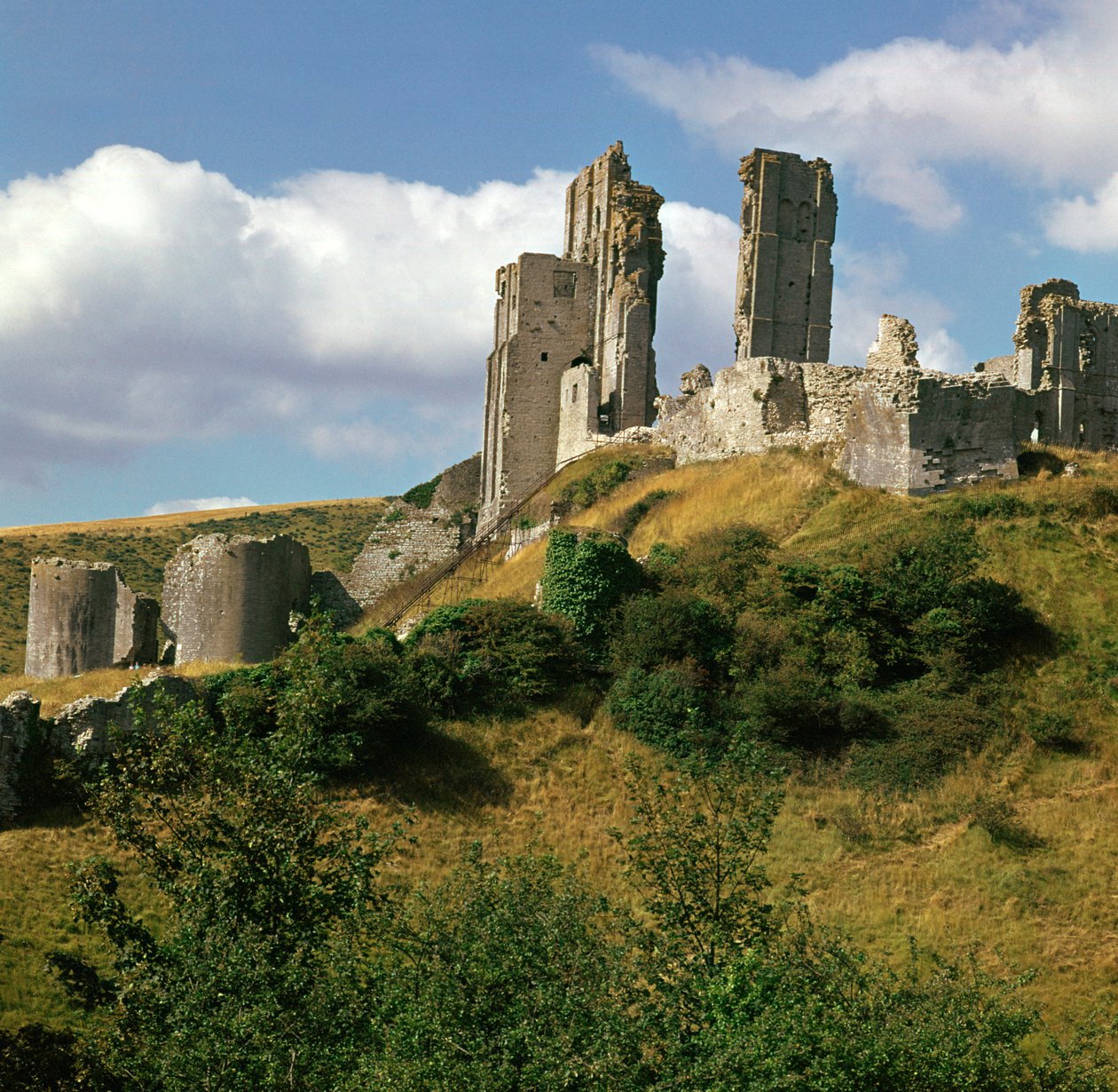 Corfe Castle, 1000-tallet av William the Conqueror