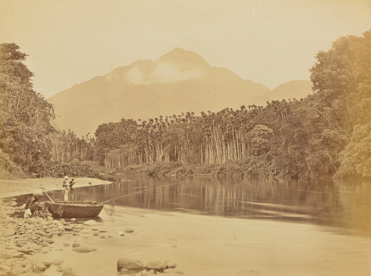  av Willoughby Wallace Hooper