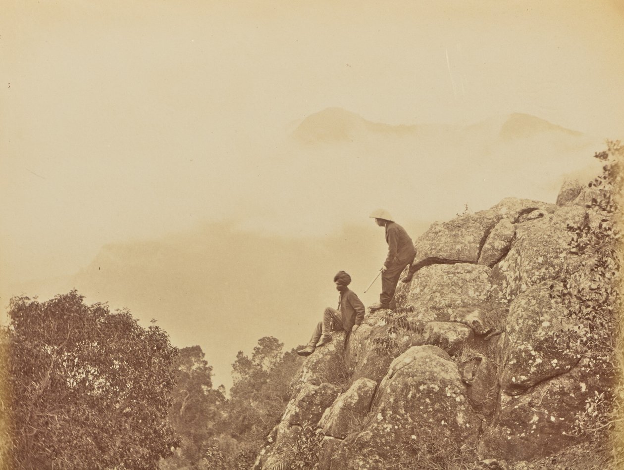  av Willoughby Wallace Hooper