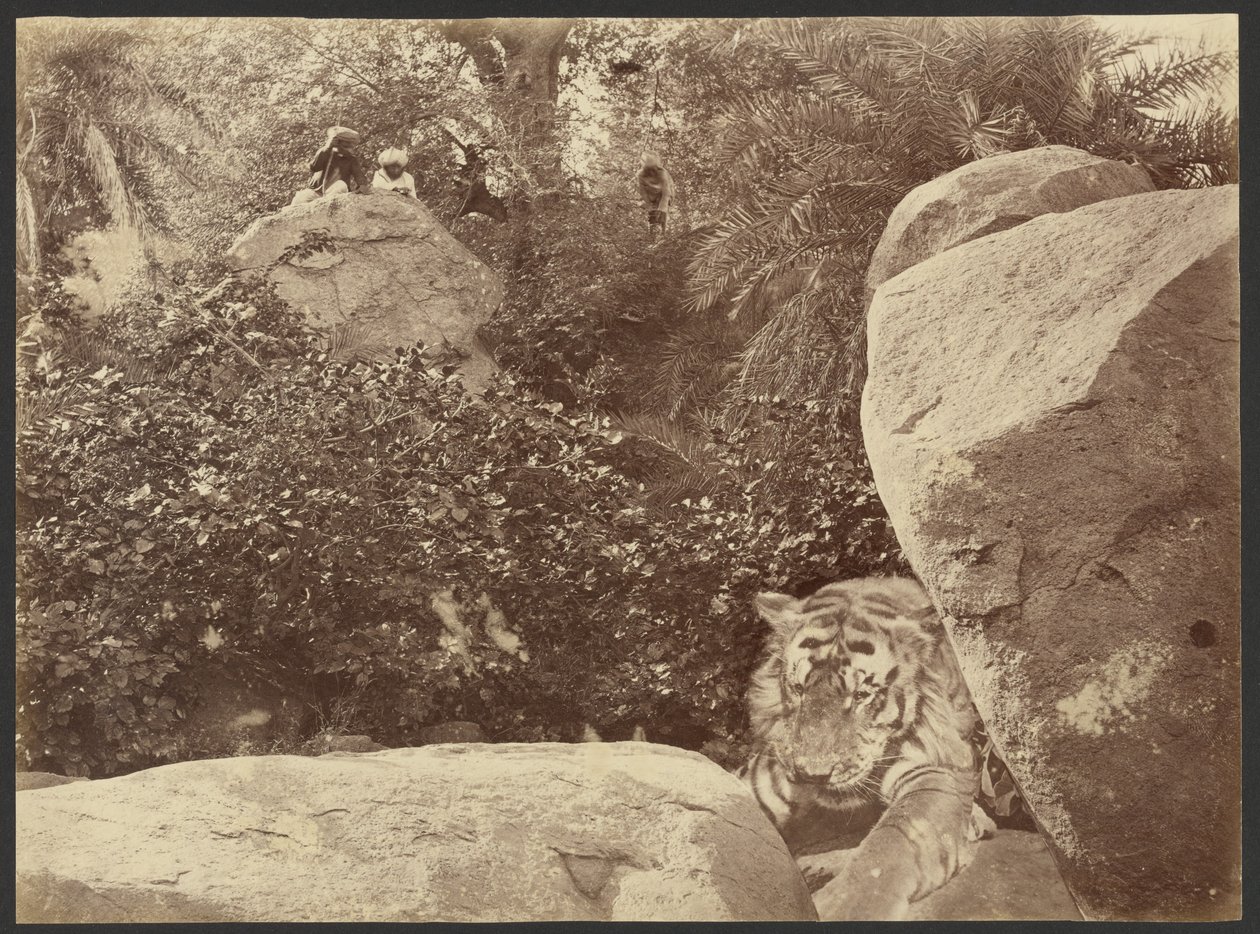  av Willoughby Wallace Hooper