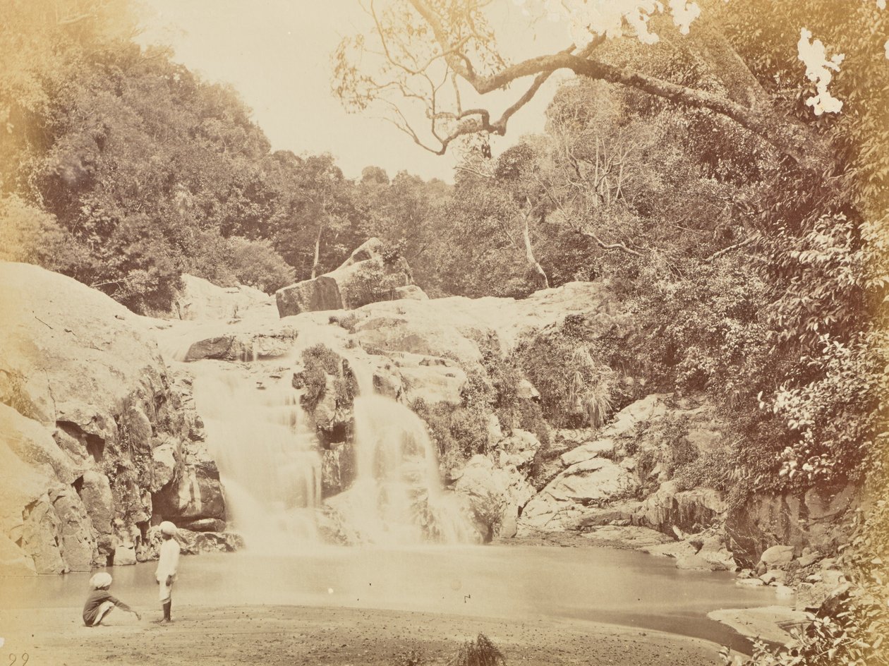  av Willoughby Wallace Hooper