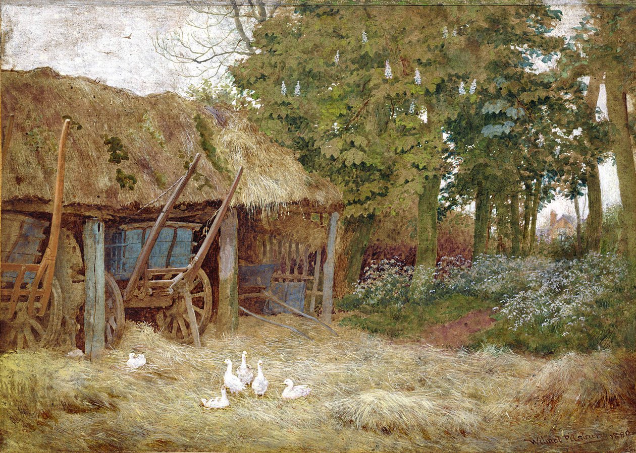 Ducks, 1880 (wc med kroppsfarge på papir) av Wilmot Pilsbury