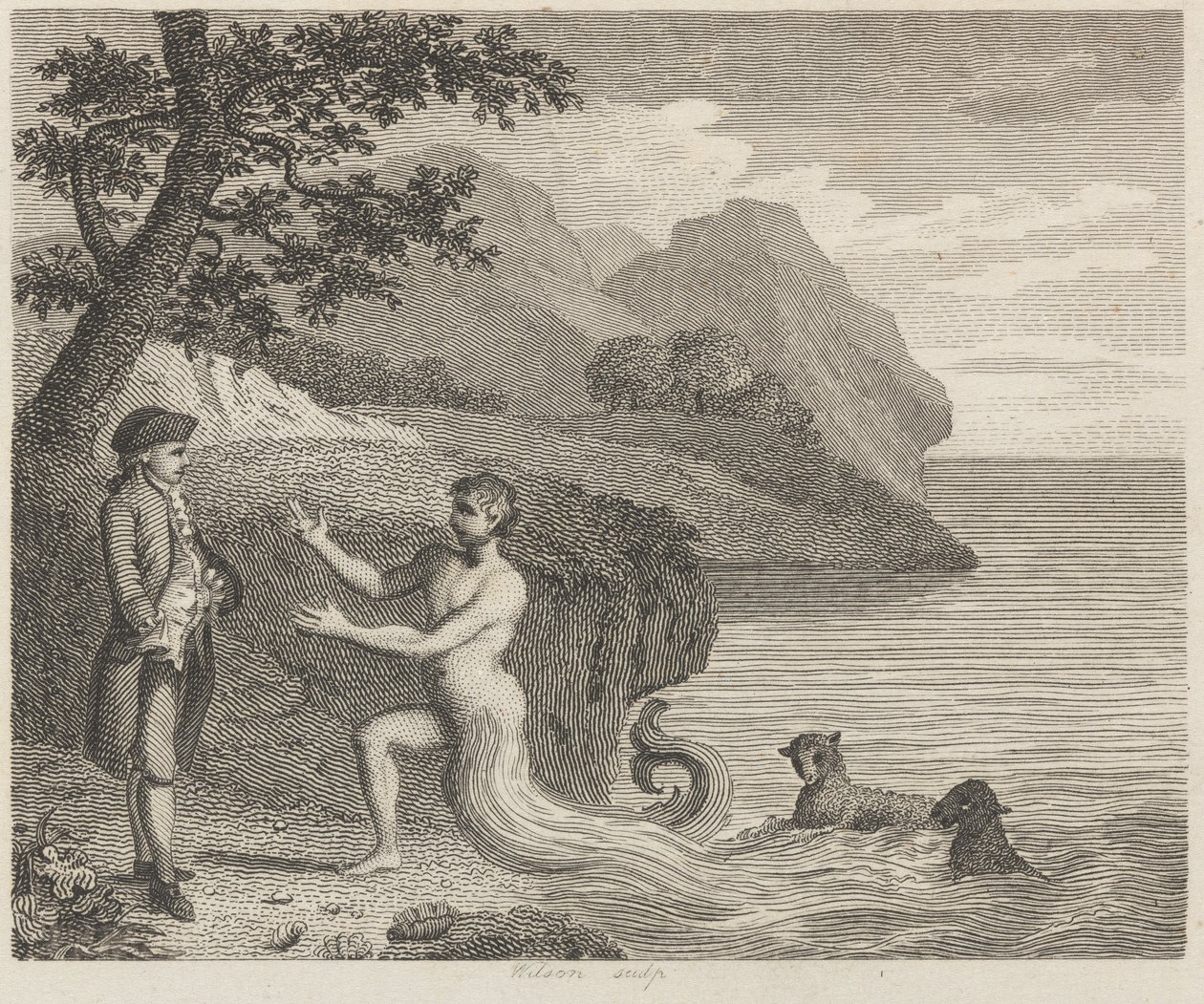 Courtier og Proteus av Wilson