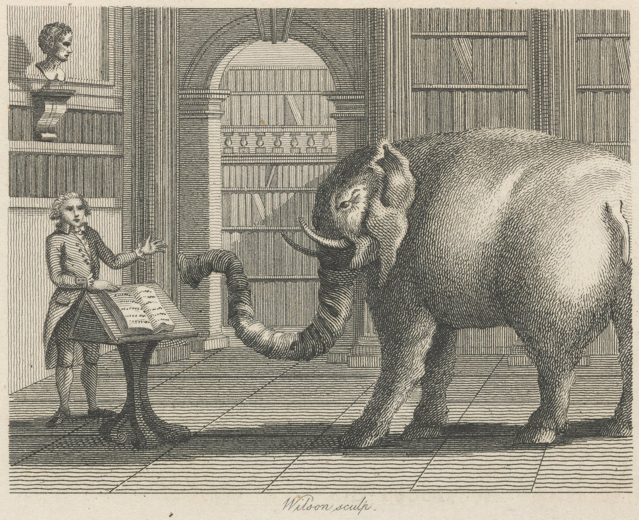 Elefanten og bokhandleren av Wilson