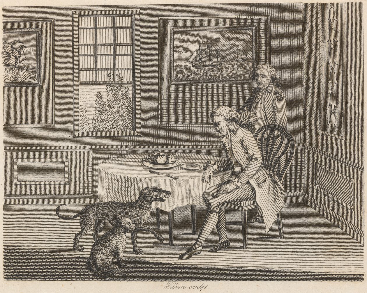 Mannen, katten, hunden og fluen av Wilson