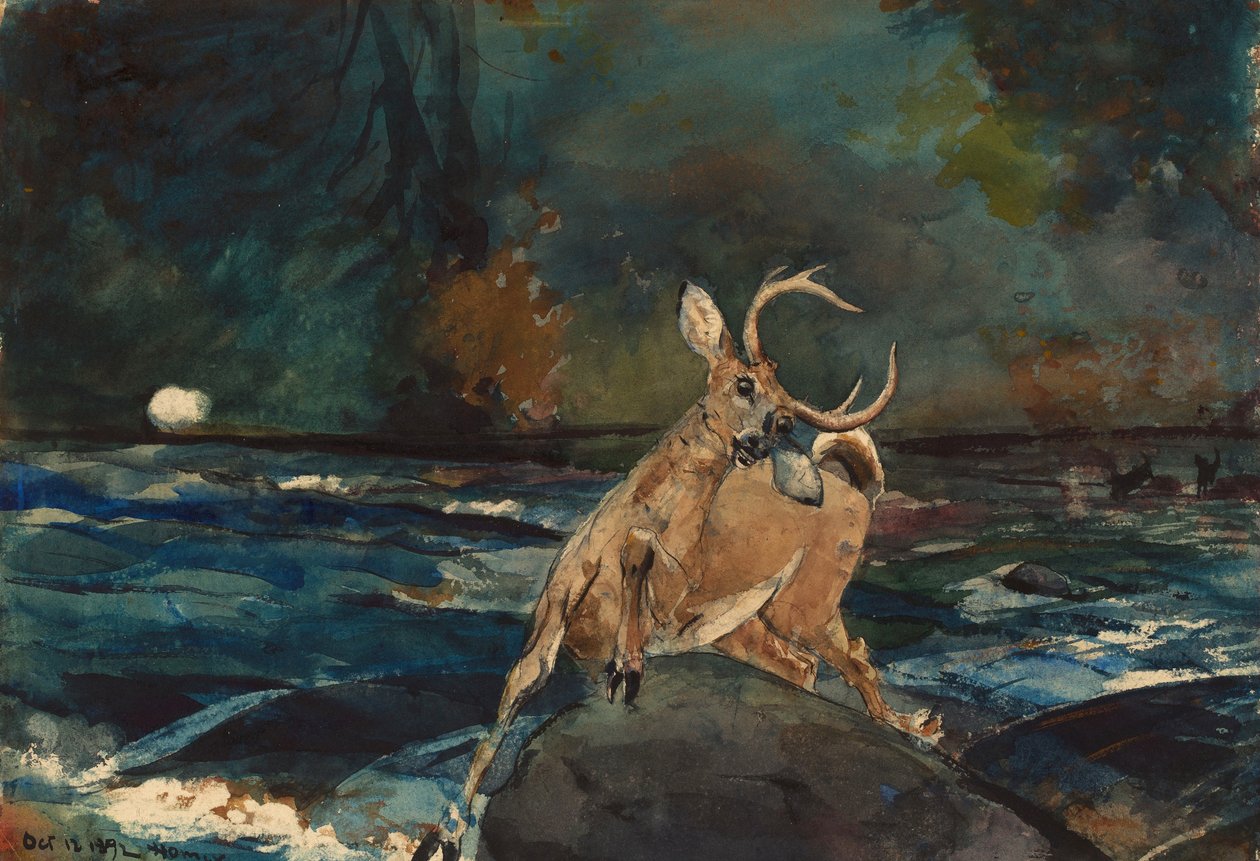 Et godt skudd, Adirondacks av Winslow Homer