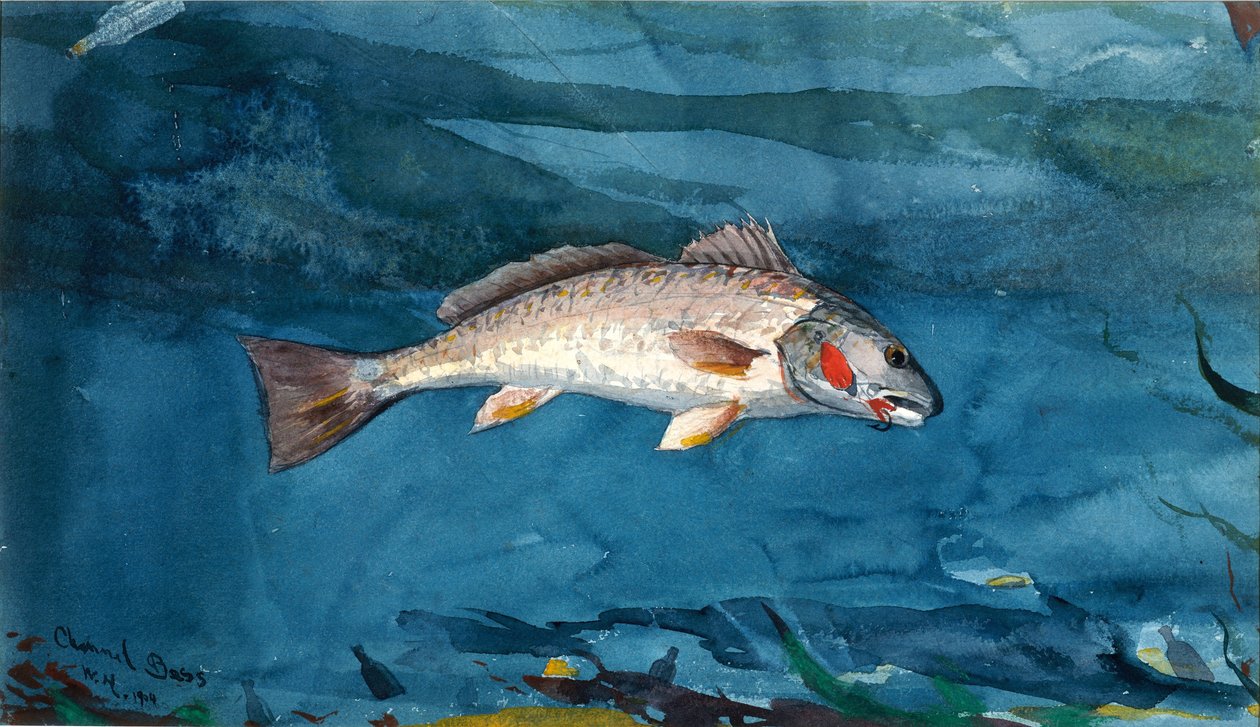 Kanalbass av Winslow Homer