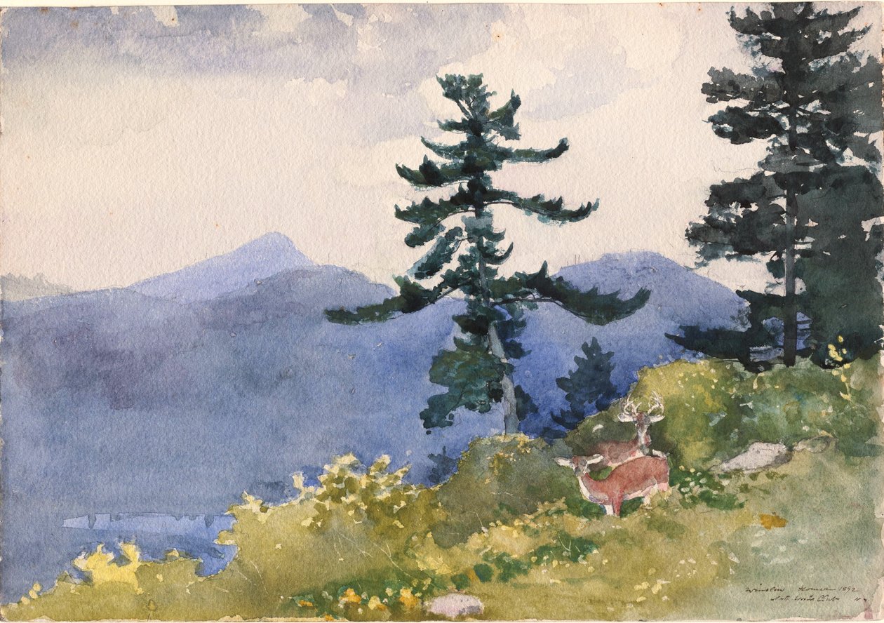 North Woods Club, Adirondacks av Winslow Homer