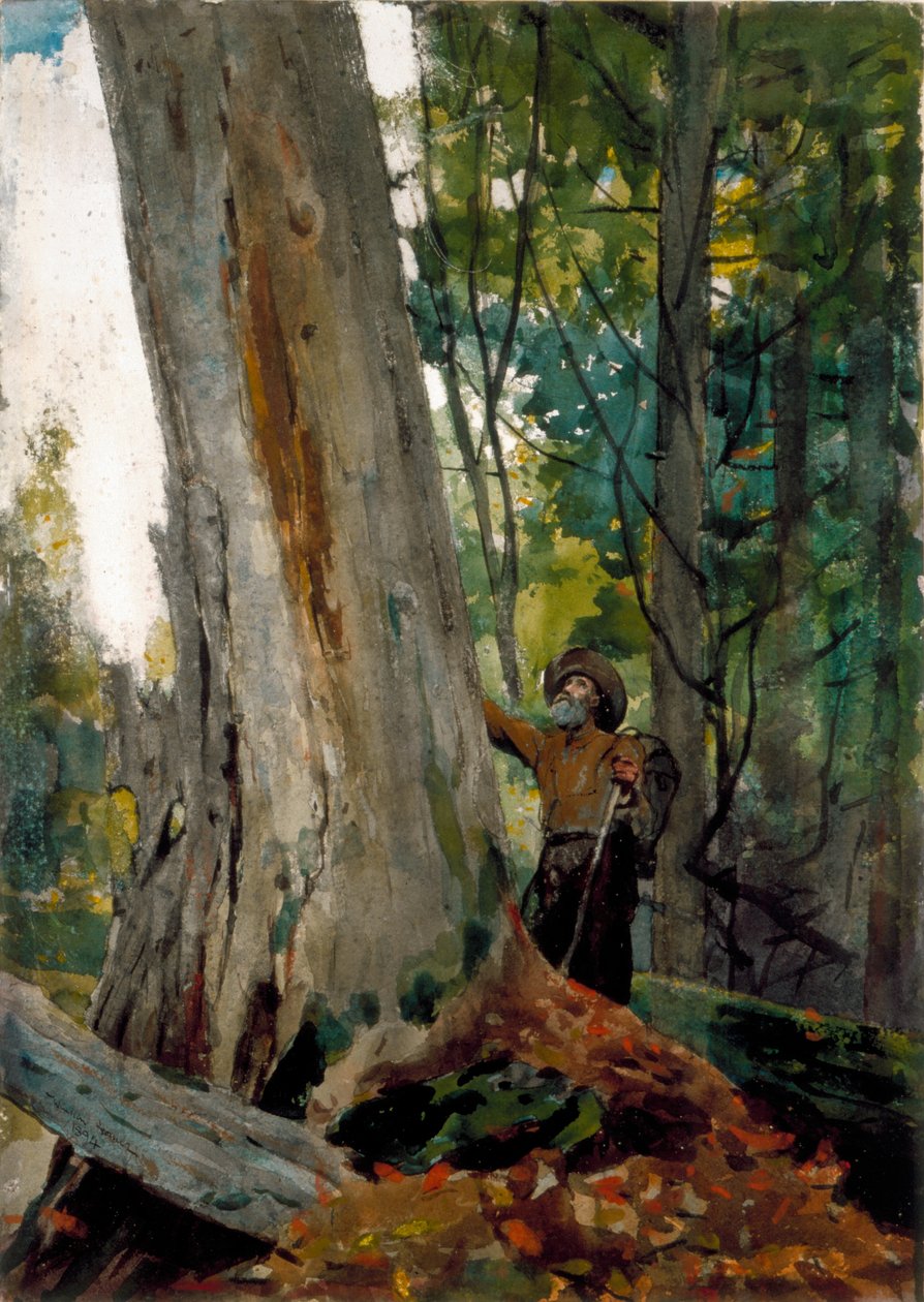 Gamle venner, 1894 (wc over blyant på papir) av Winslow Homer