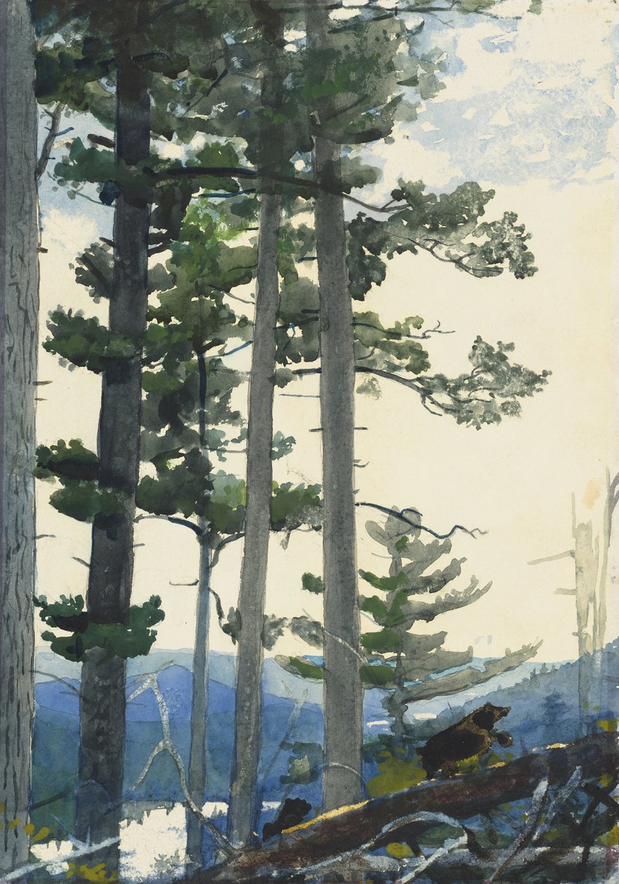 Gamle nybyggere av Winslow Homer