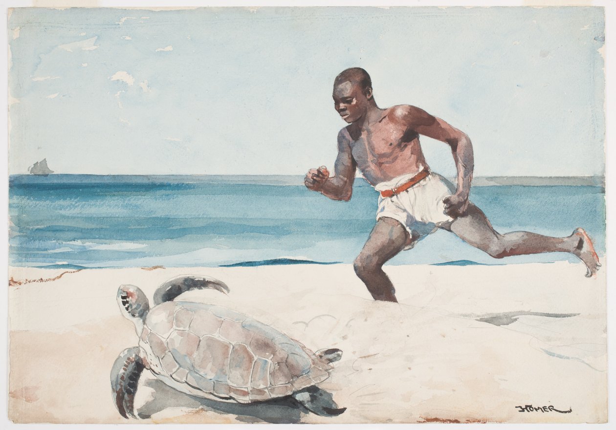 Rum Cay (wc over grafitt på papir) av Winslow Homer
