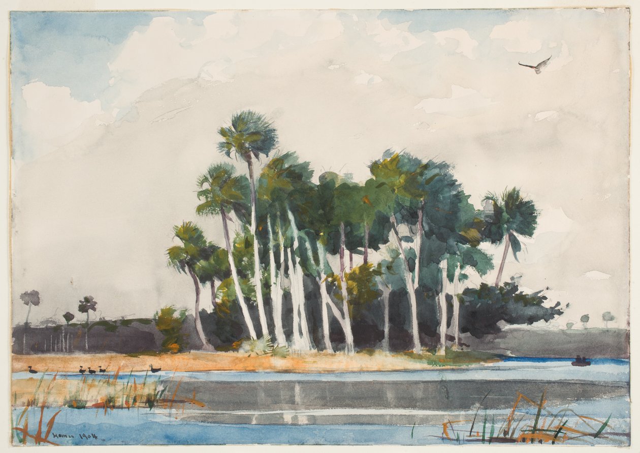 Turkey Buzzard (wc over grafitt på papir) av Winslow Homer