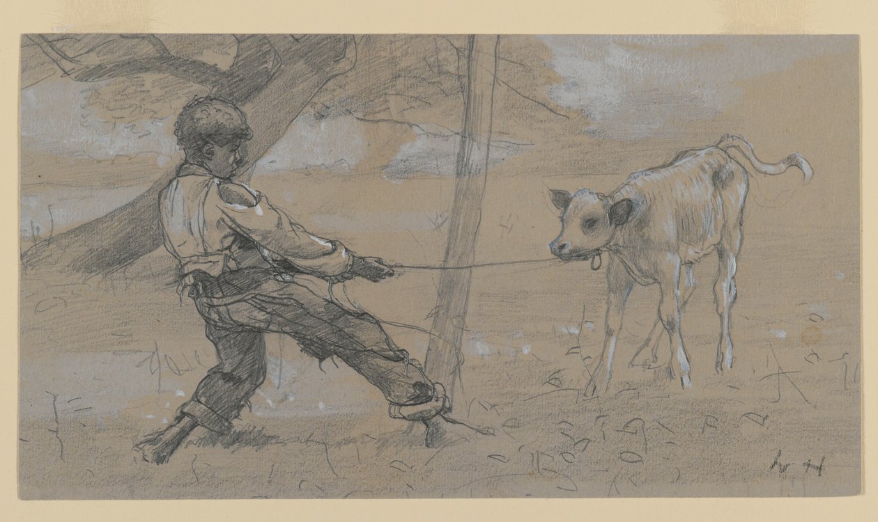 Den uregjerlige kalven (grafitt og kinesisk hvit på vevd papir) av Winslow Homer