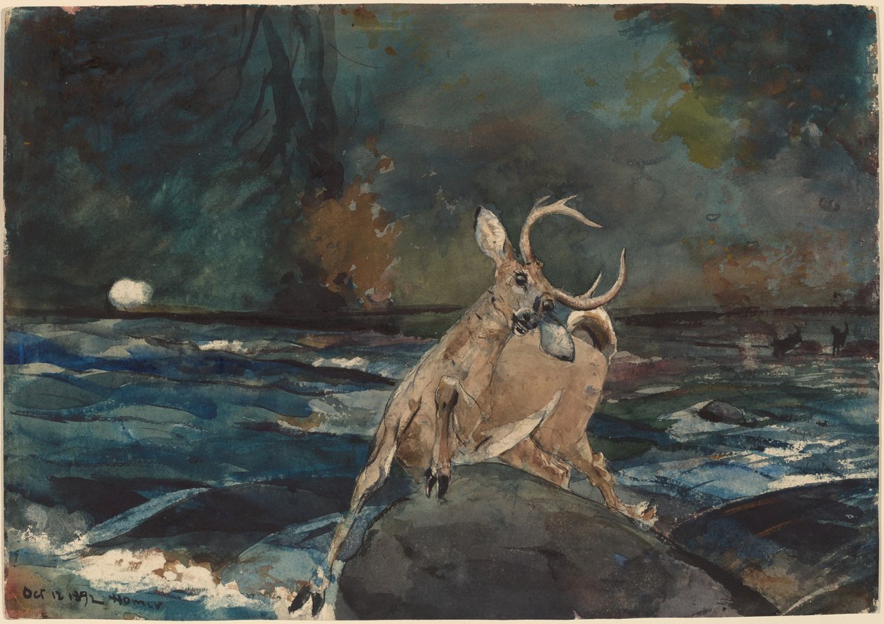 Et godt skudd, Adirondacks av Winslow Homer