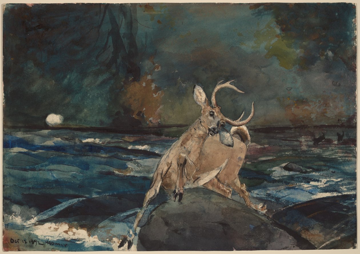 Et godt skudd, Adirondacks av Winslow Homer