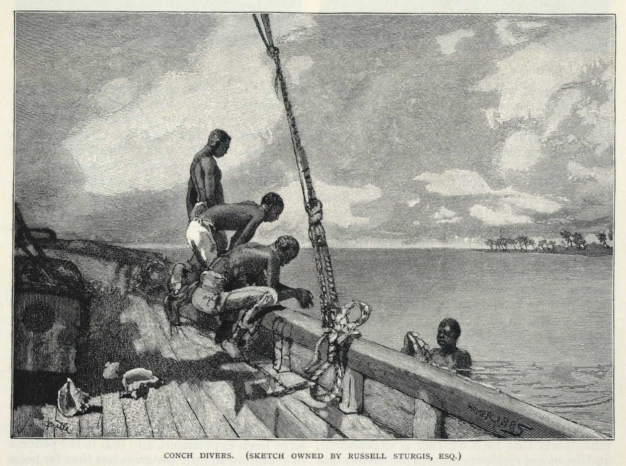  av Winslow Homer