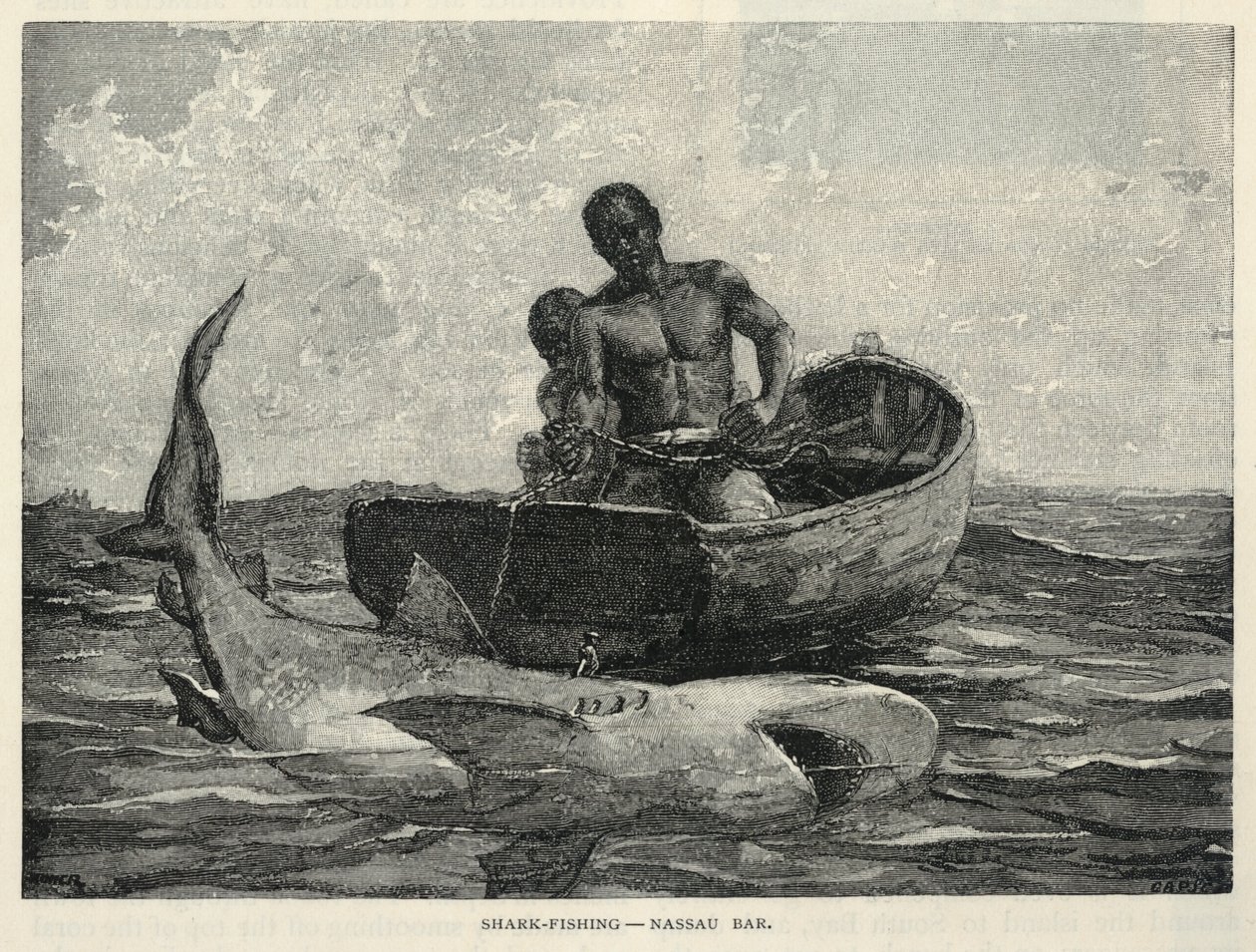  av Winslow Homer