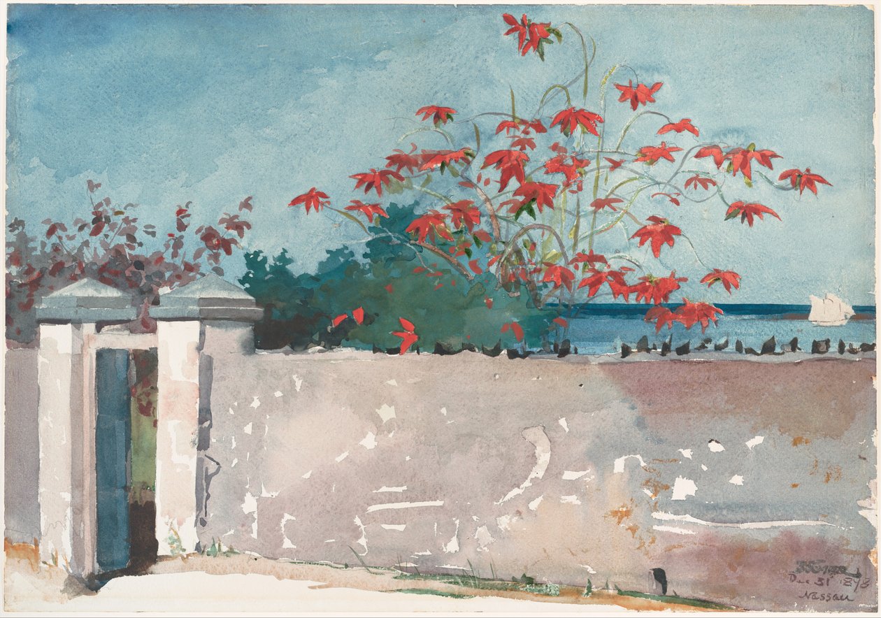 En mur, Nassau av Winslow Homer