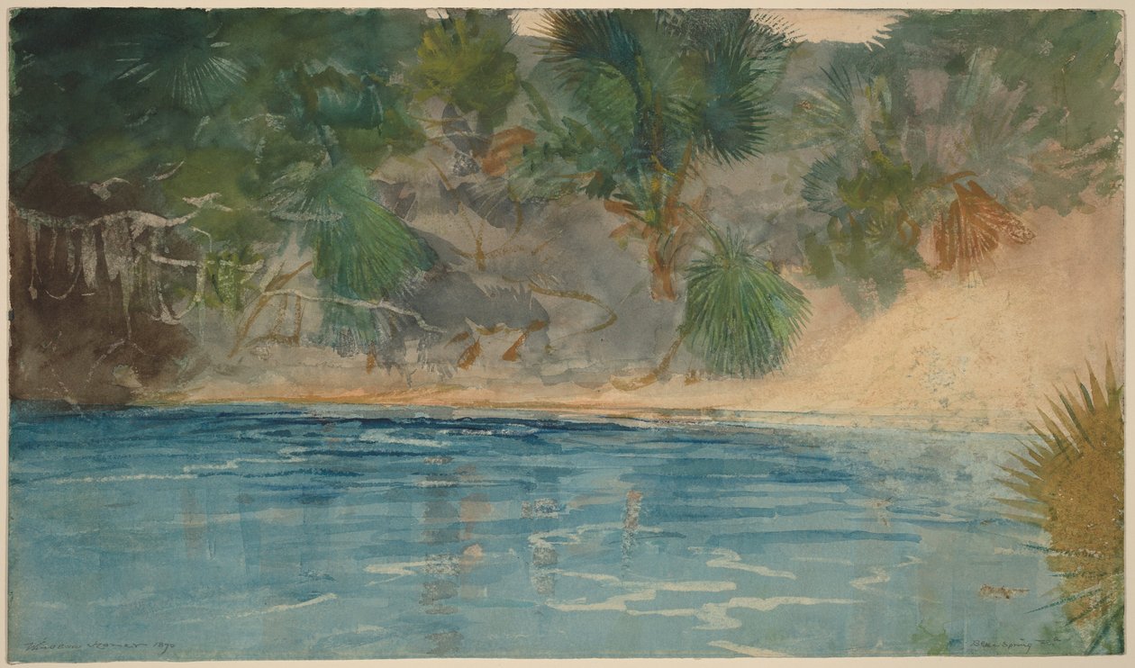 Den blå kilden, Florida av Winslow Homer