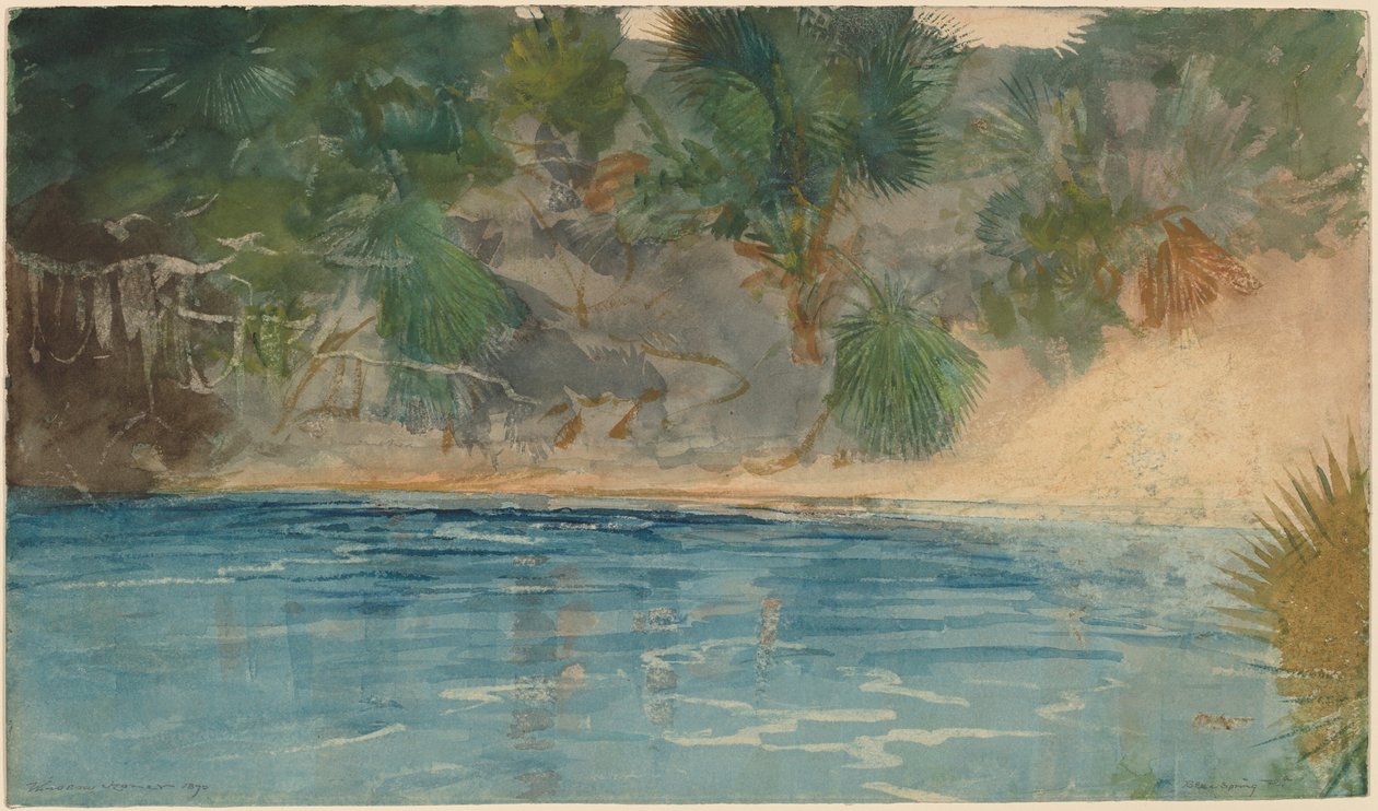 Blue Spring, Florida, 1890. av Winslow Homer