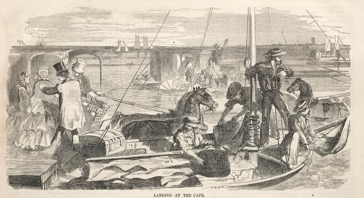  av Winslow Homer