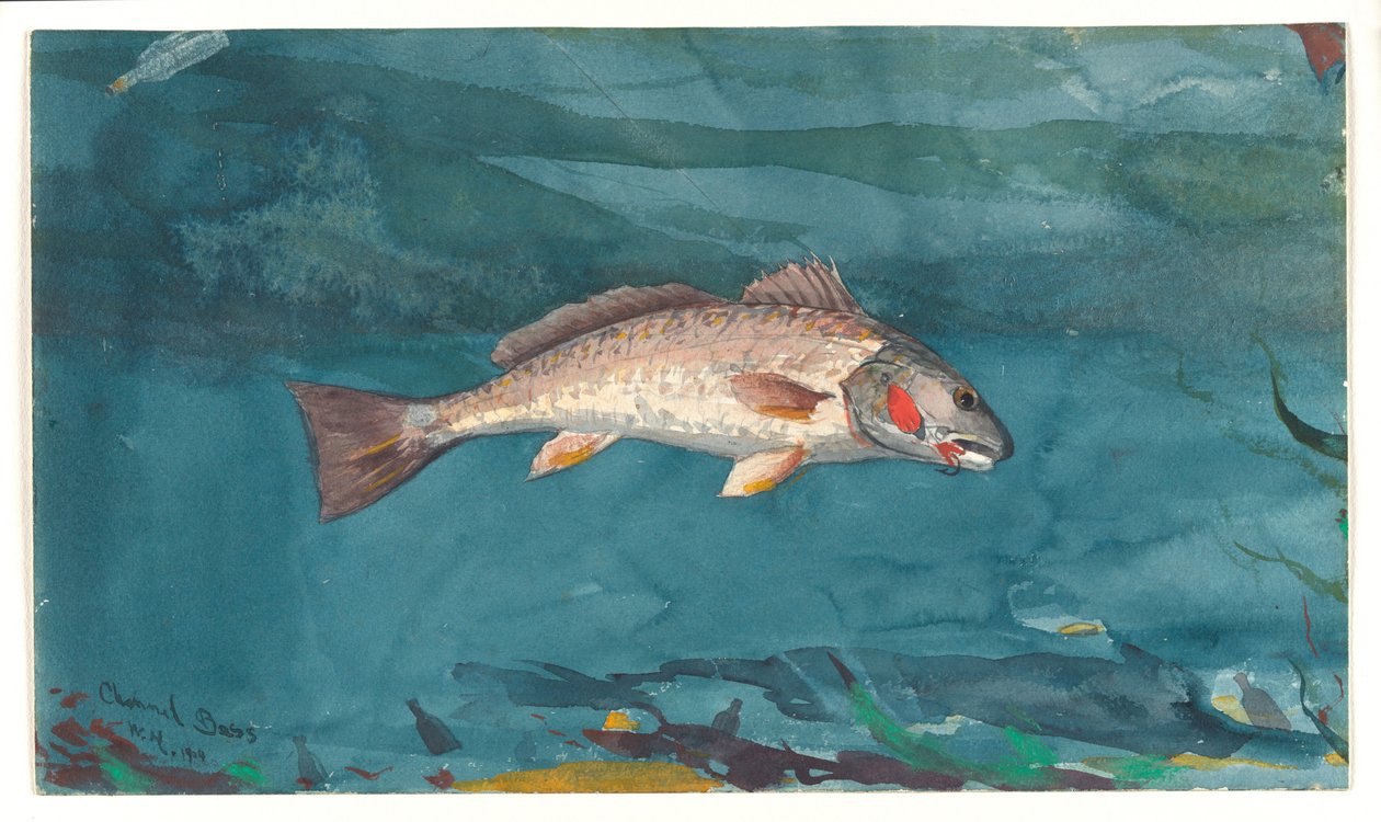 Kanalbass av Winslow Homer