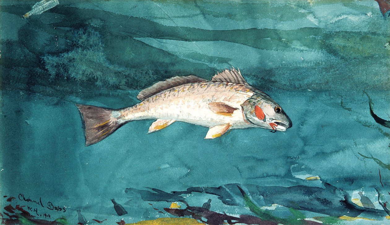 Kanalbass av Winslow Homer