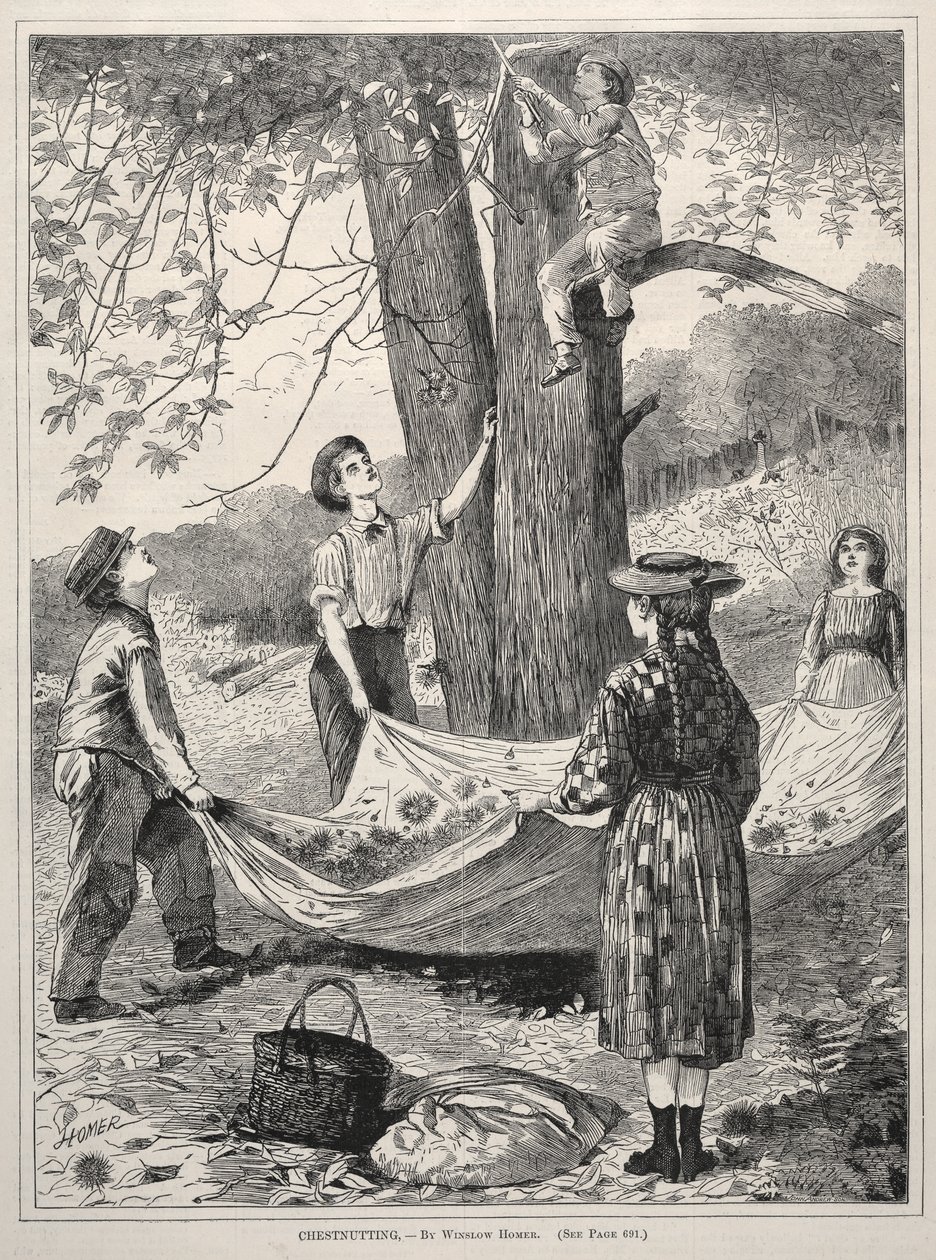 Chestnutting av Winslow Homer