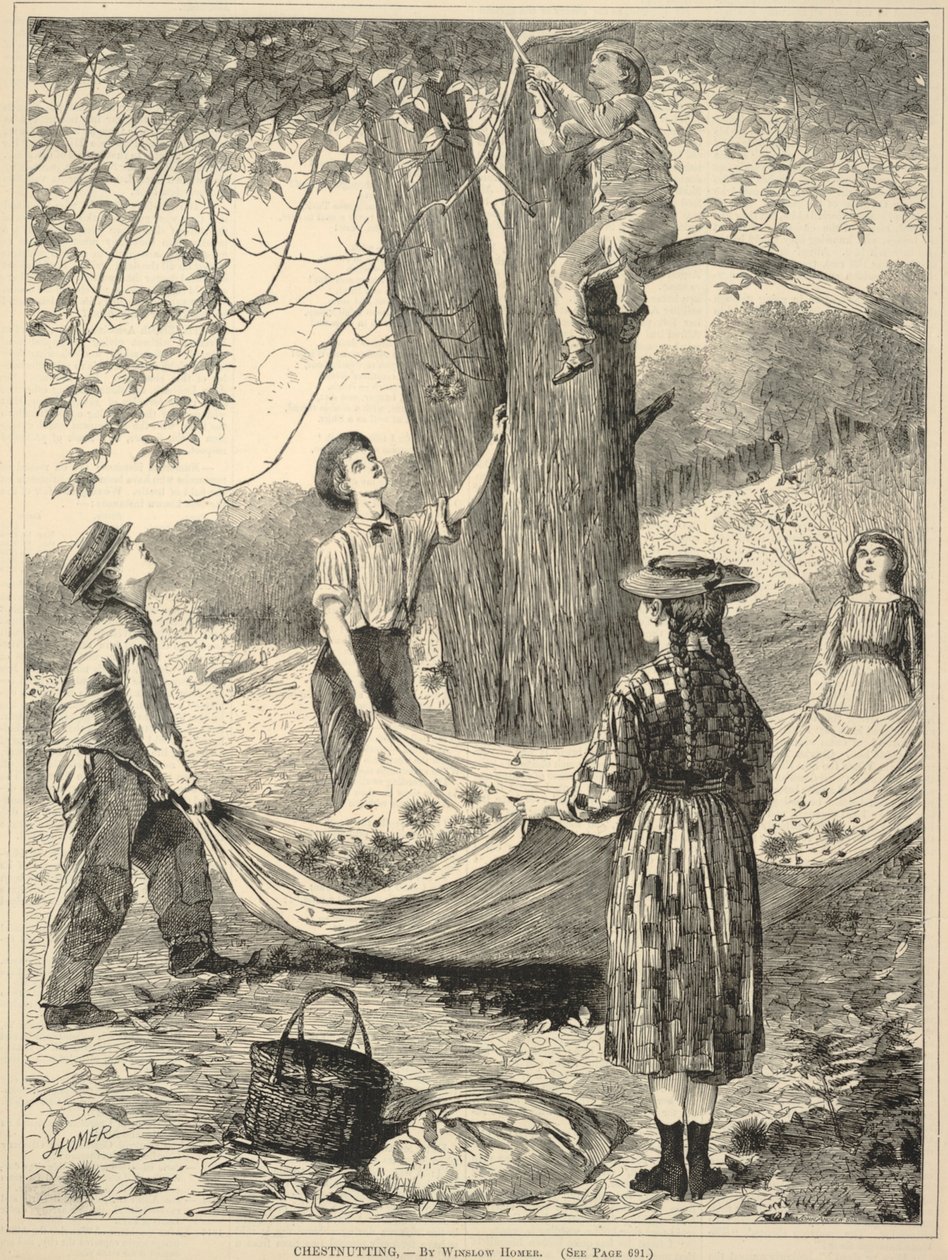 Kastanjeutsmykning, fra Hver lørdag: En illustrert journal med valgfri lesing, 29. oktober 1870 av Winslow Homer