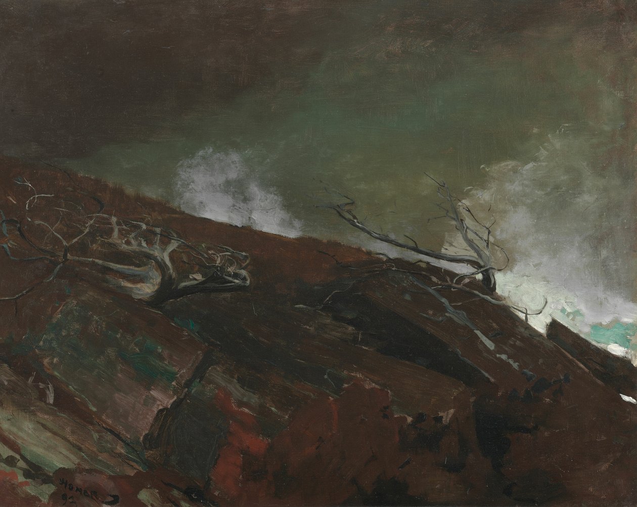 Kysten av Maine av Winslow Homer