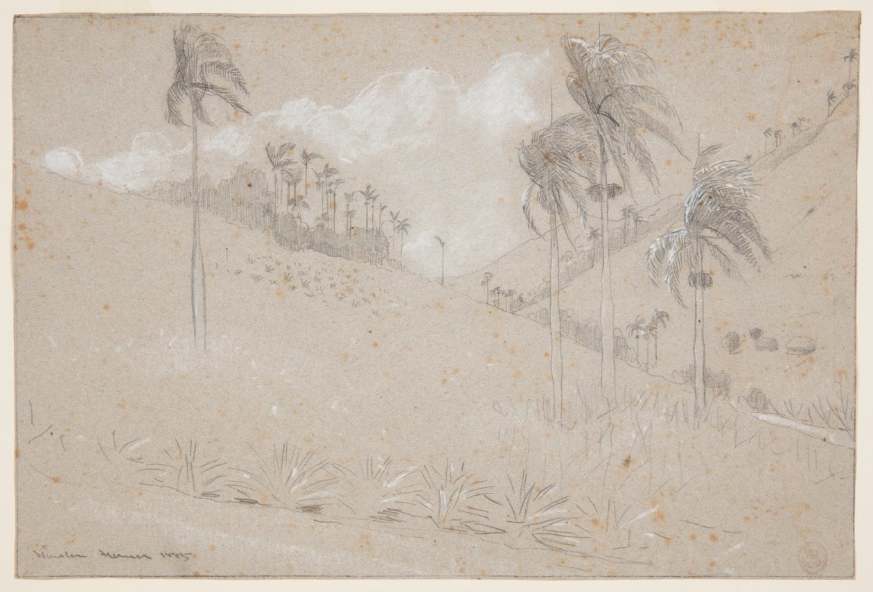 Cuban Hillside av Winslow Homer