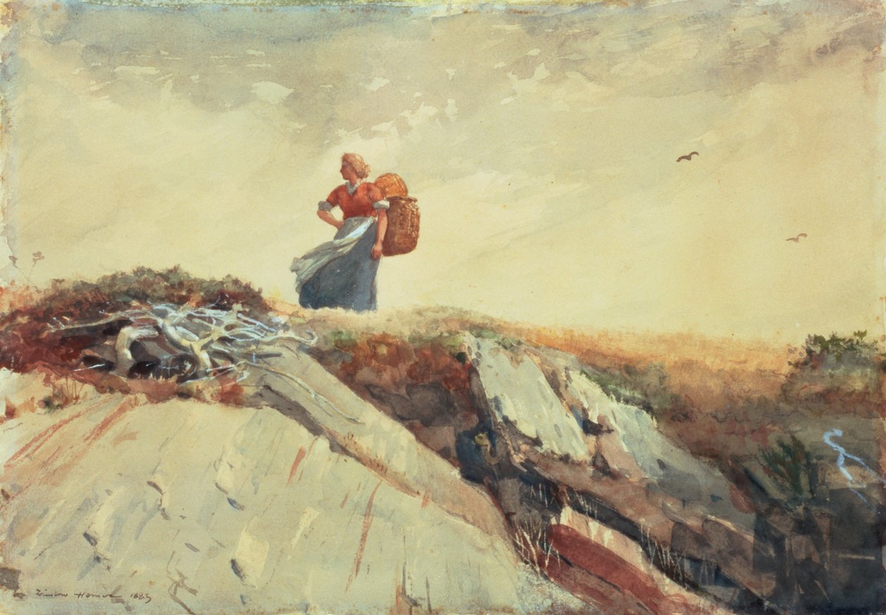 Down the Cliff, 1883 av Winslow Homer