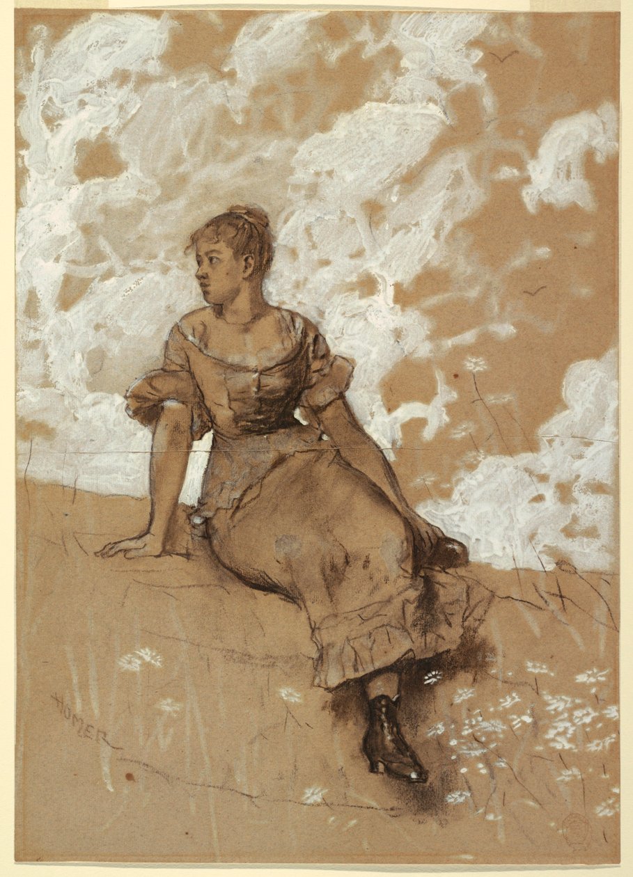  av Winslow Homer