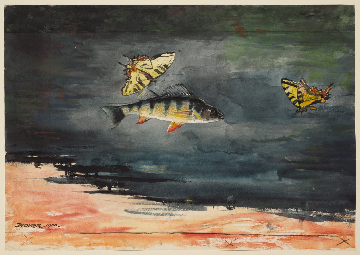 Fisk og sommerfugler av Winslow Homer
