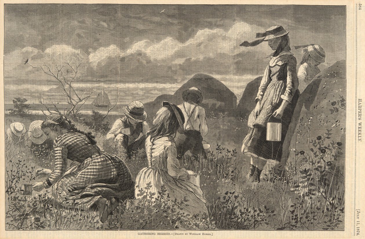 Gathering Berries, fra Harper av Winslow Homer