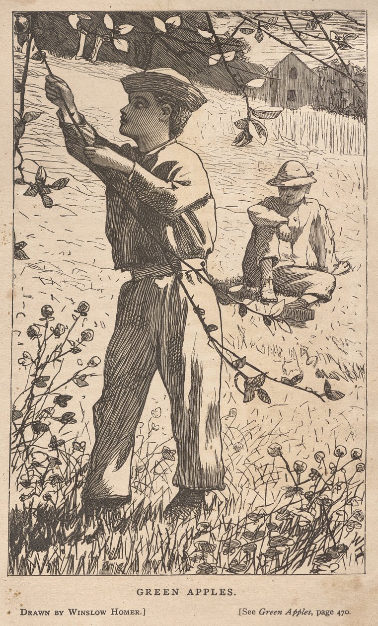  av Winslow Homer