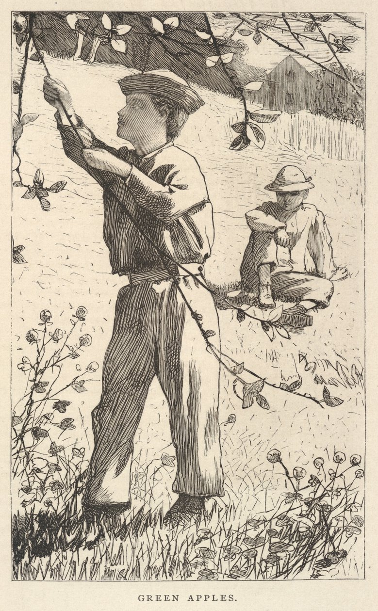  av Winslow Homer