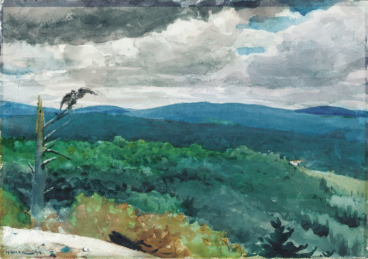 Kupert landskap, 1894 av Winslow Homer
