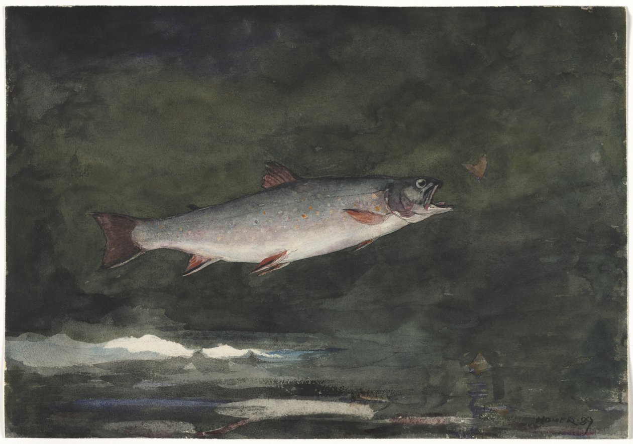 Den hoppende ørreten av Winslow Homer