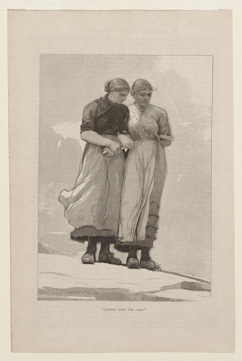 Utsikt over klippen av Winslow Homer