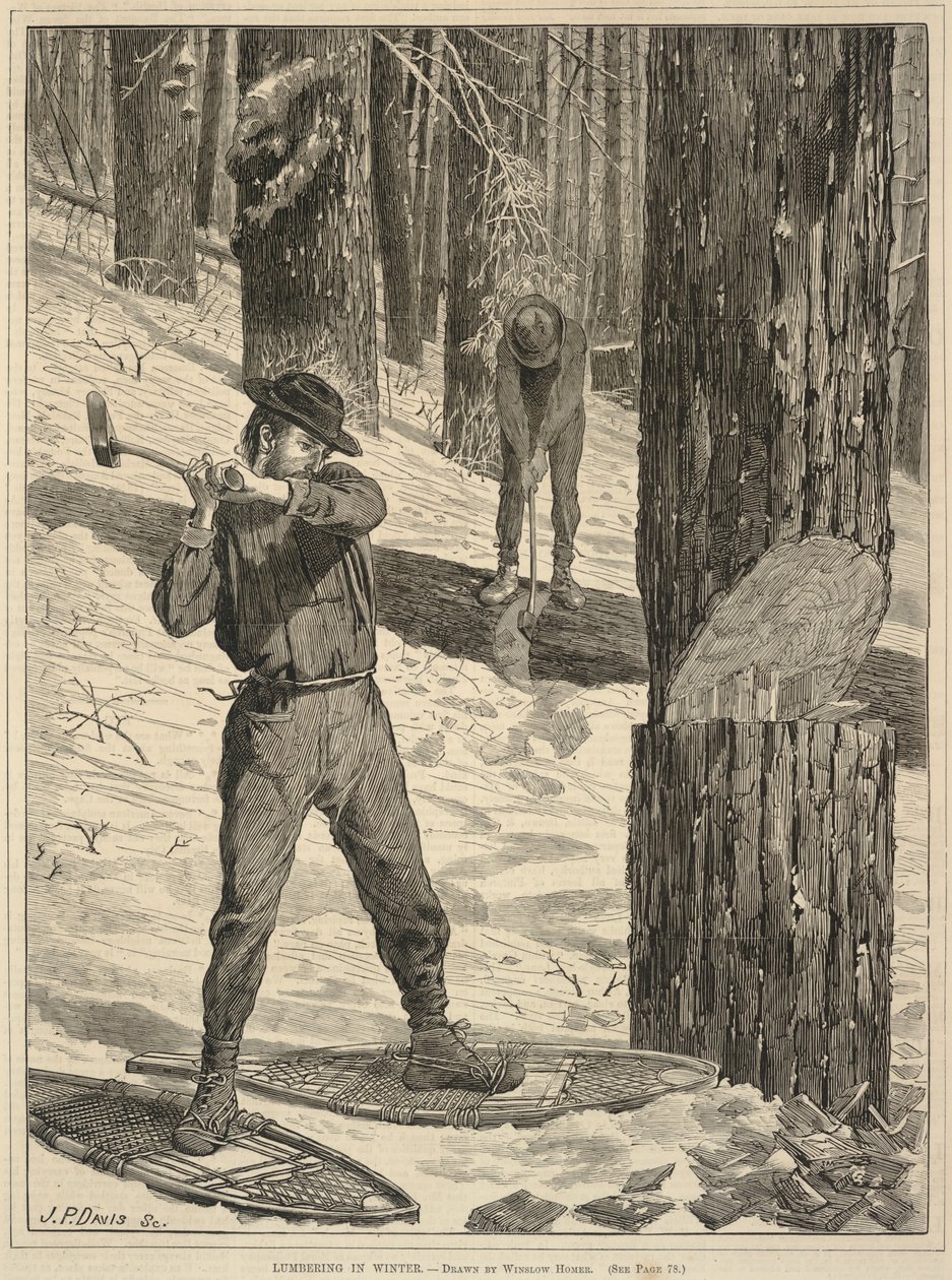  av Winslow Homer