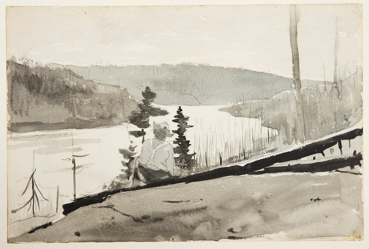 Mountain River eller Lake av Winslow Homer