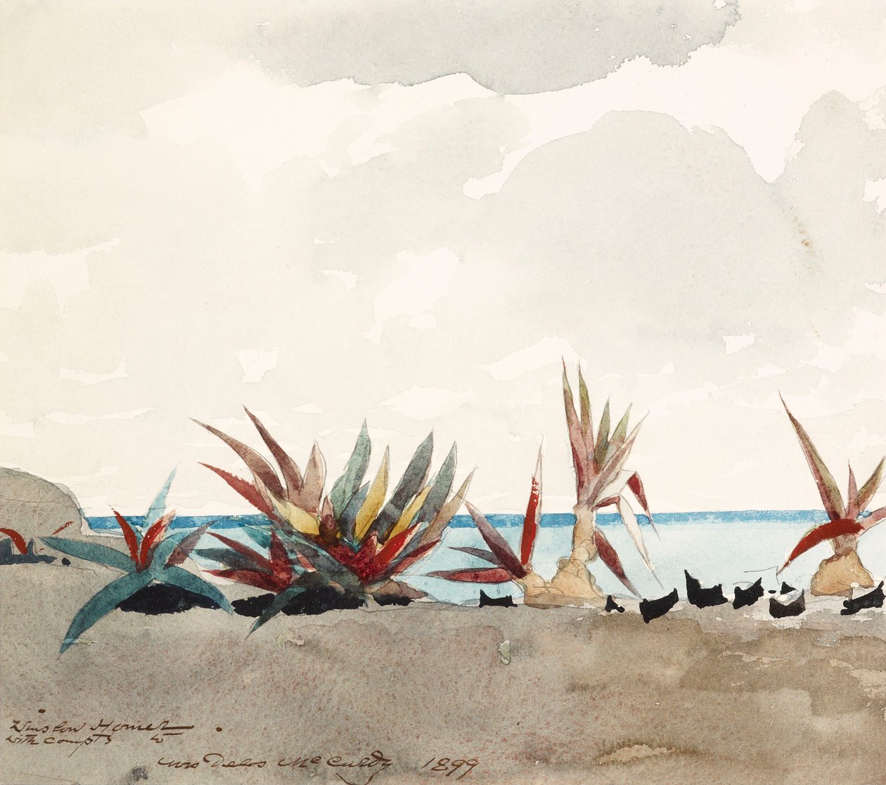 Nassau Beach med agaver av Winslow Homer