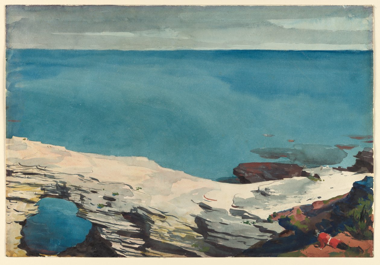 Naturbro, Bermuda av Winslow Homer