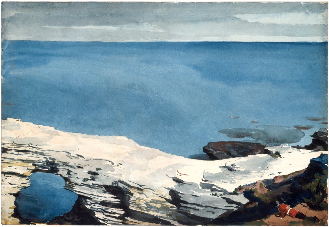  av Winslow Homer