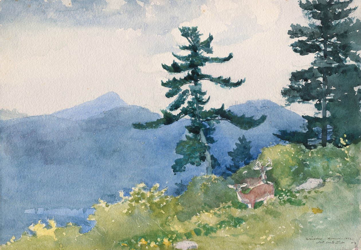 North Woods Club, Adirondacks (The Interrupted Tete-a-Tete) av Winslow Homer