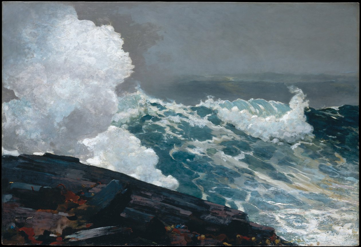 Nordøststorm av Winslow Homer