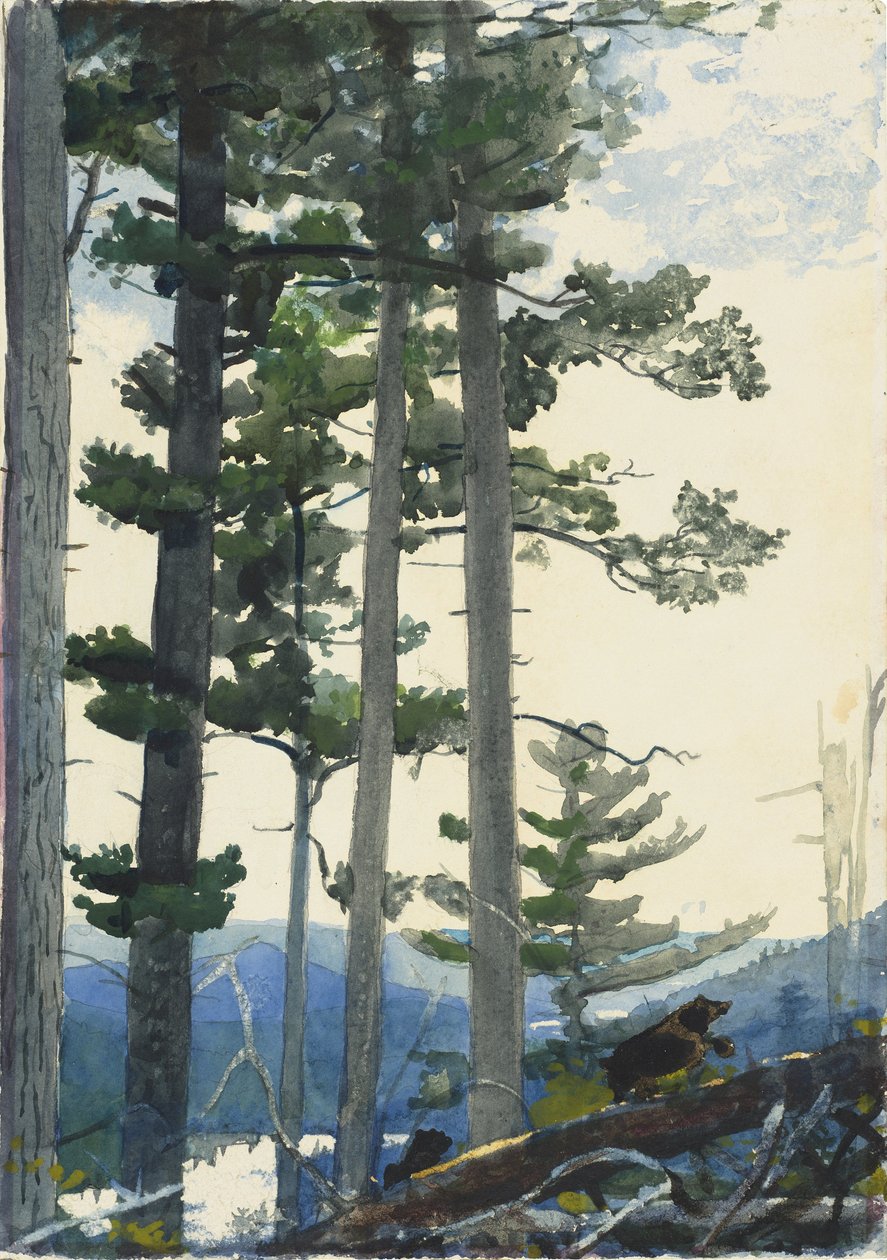 Gamle nybyggere av Winslow Homer