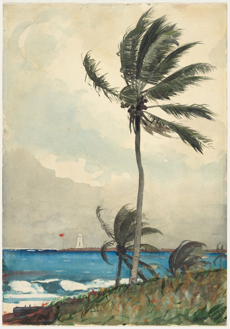 Palmetre, Nassau av Winslow Homer