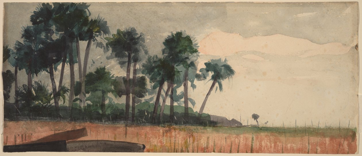 Røde palmer av Winslow Homer